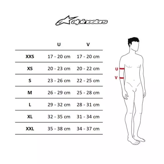 Gomitiere Alpinestars Paragon Plus Nero Grigio 5 Gomitiere Alpinestars Paragon Plus Nero Grigio - immagine 3