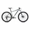 Bicicletta MTB Fuji Nevada 29" 1.0 LTD Grigio 1 Bicicletta MTB Fuji Nevada 29" 1.0 LTD Grigio -Vendite Biciclette MTB fu 11212420417 c 001